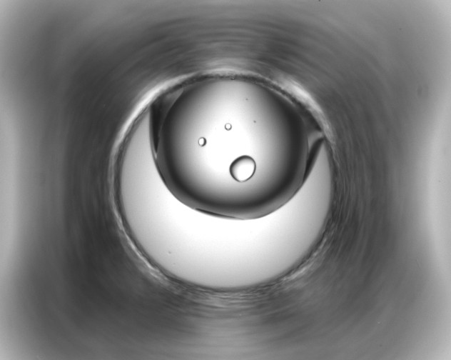 X0000087001376200704301349