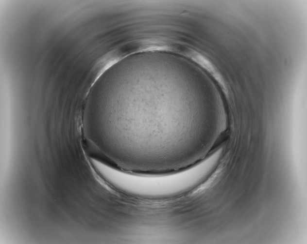 X0000087001377200704301349
