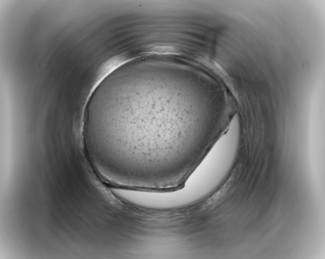 X0000087001378200704301349