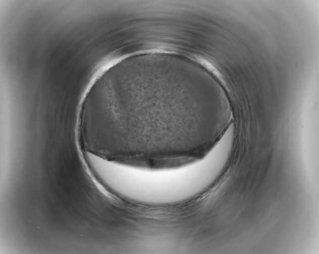X0000087001379200704301349
