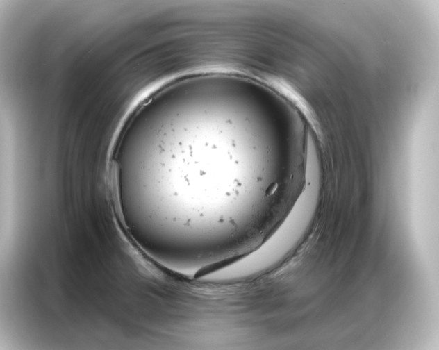 X0000087001380200704301349
