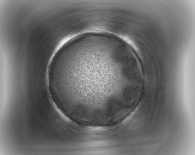 X0000087001382200704301349