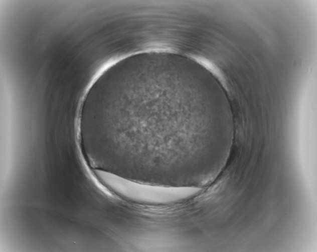 X0000087001383200704301349