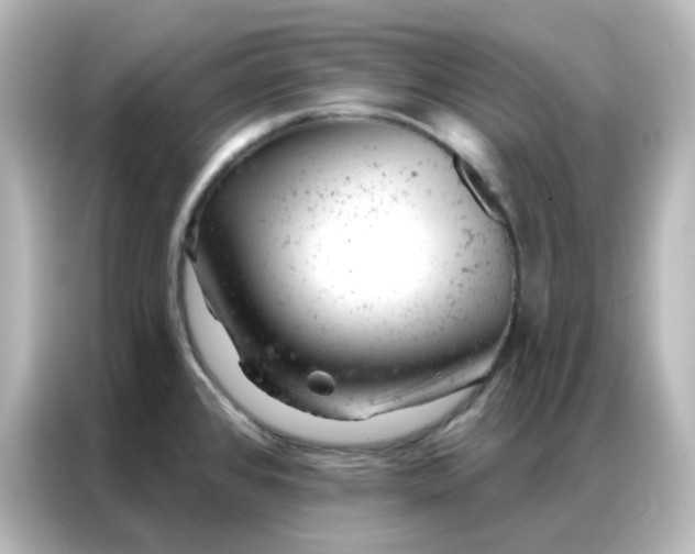 X0000087001384200704301349