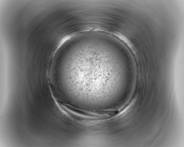 X0000087001385200704301349