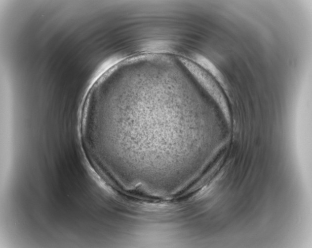 X0000087001386200704301349