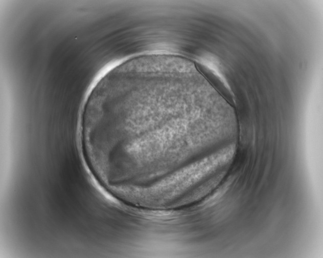 X0000087001387200704301349