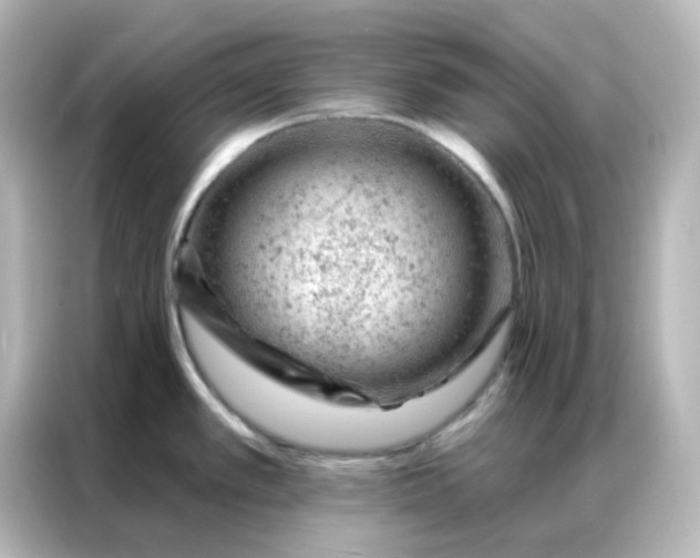 X0000087001389200704301349