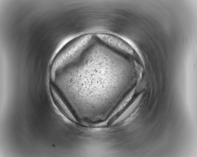 X0000087001390200704301349