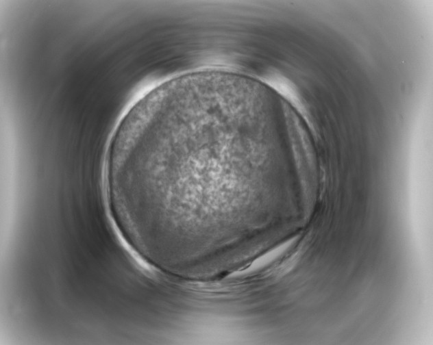 X0000087001391200704301349