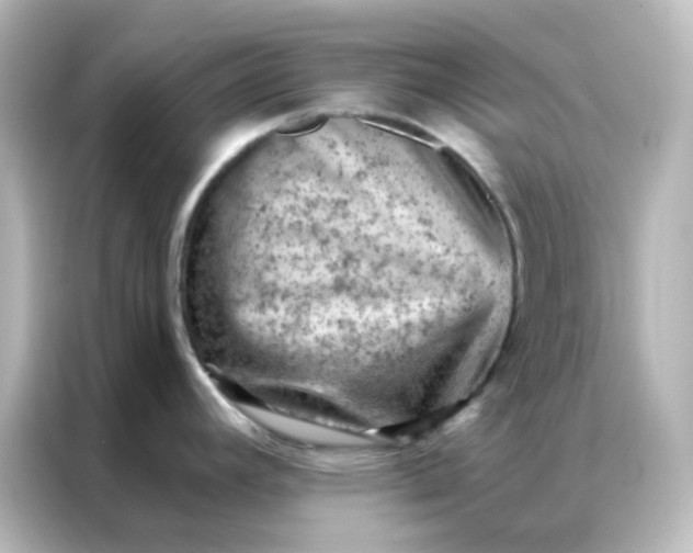 X0000087001392200704301349