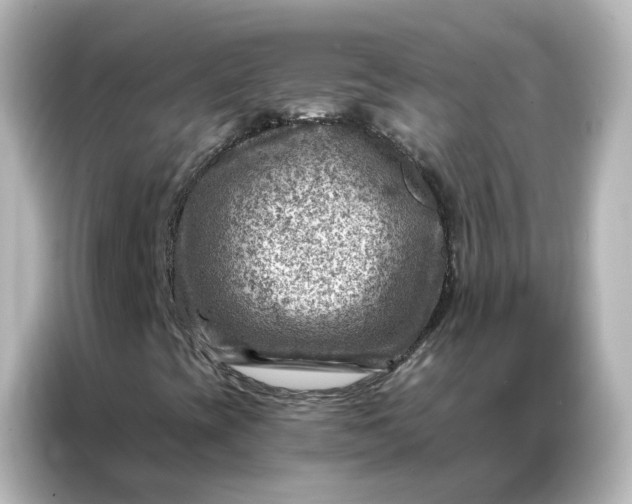 X0000087001393200704301348