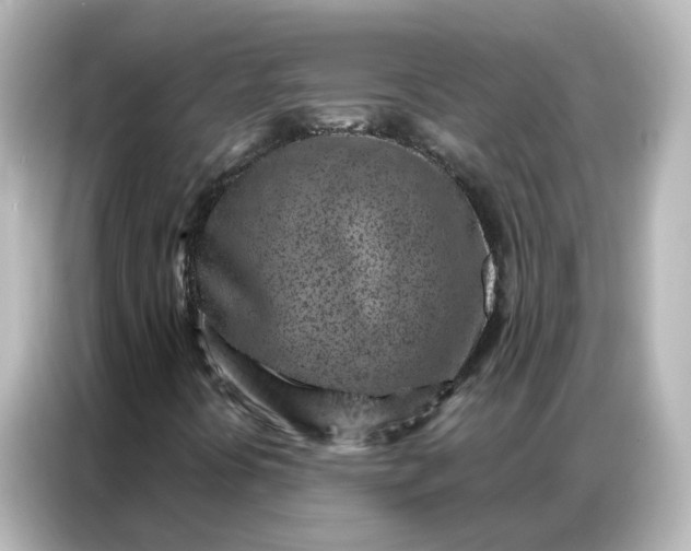 X0000087001394200704301348