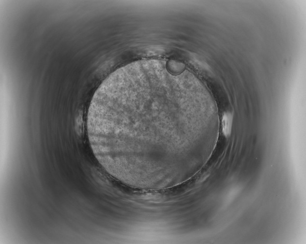 X0000087001395200704301348