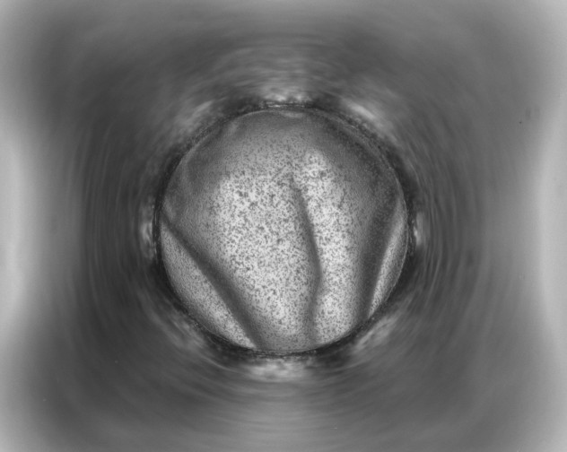 X0000087001396200704301348