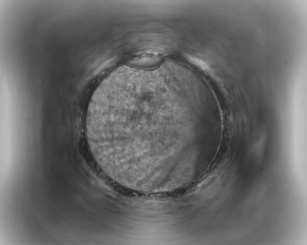 X0000087001399200704301348