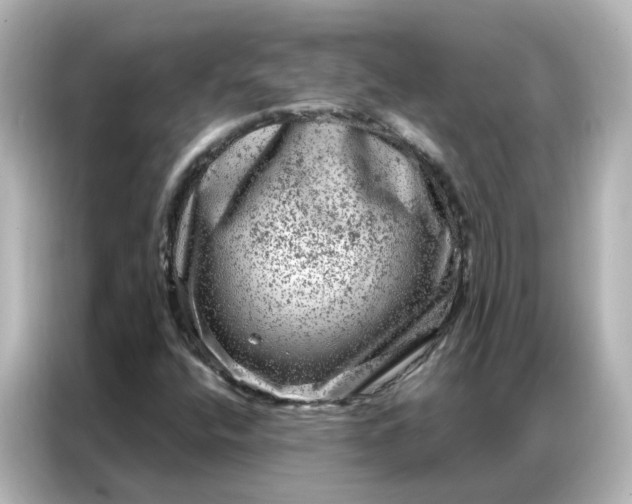 X0000087001400200704301348