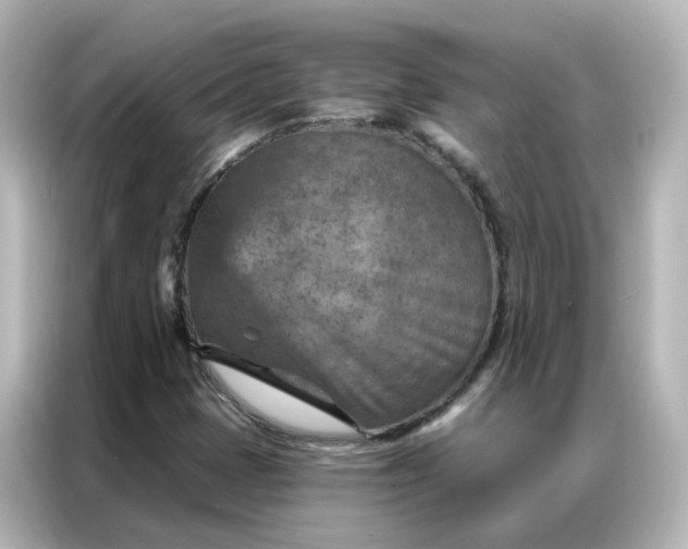 X0000087001401200704301348