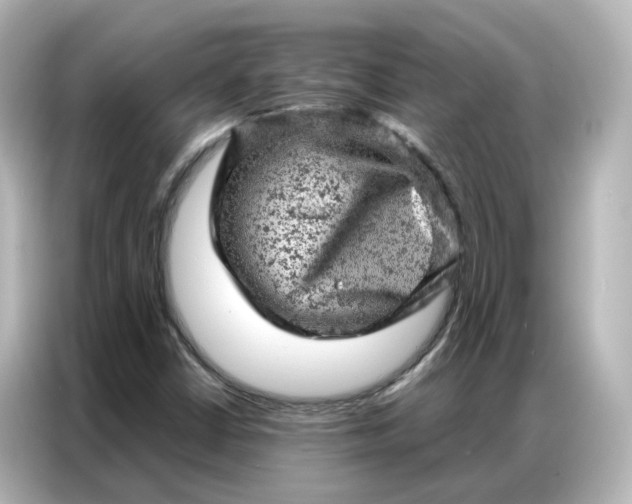 X0000087001402200704301348