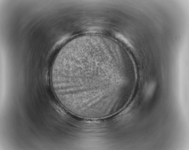 X0000087001403200704301348