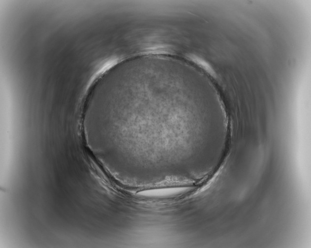 X0000087001405200704301348
