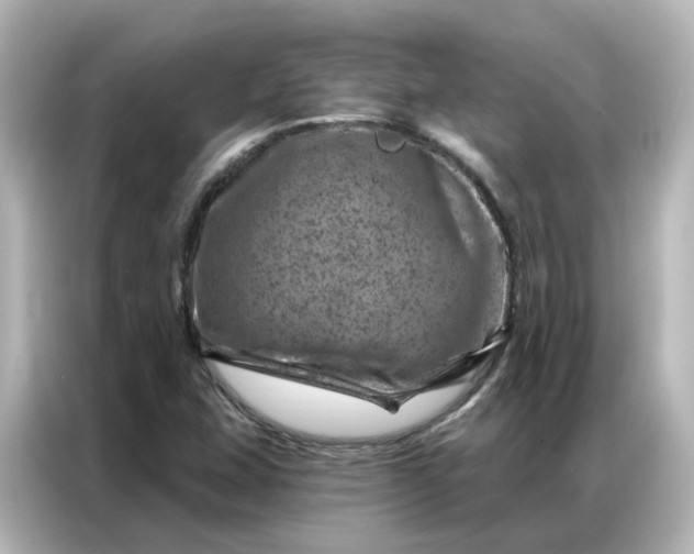 X0000087001407200704301348