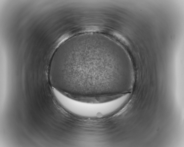 X0000087001409200704301348