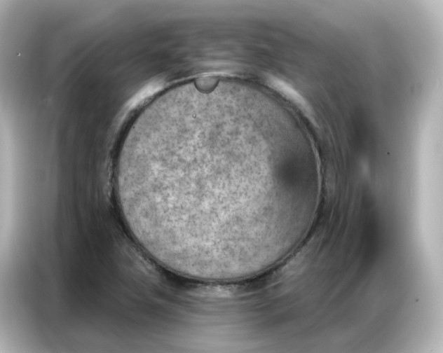 X0000087001411200704301348