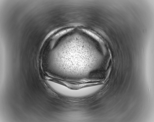 X0000087001412200704301348