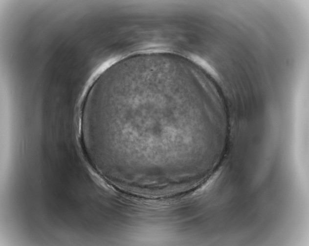 X0000087001413200704301348