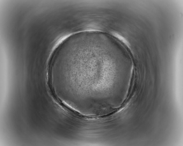 X0000087001415200704301348