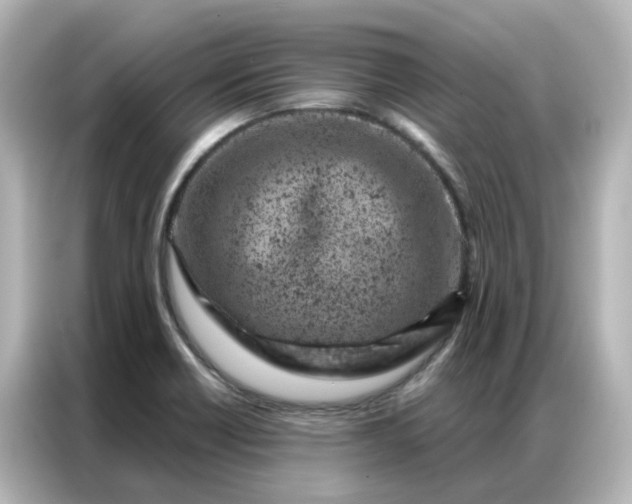 X0000087001418200704301348