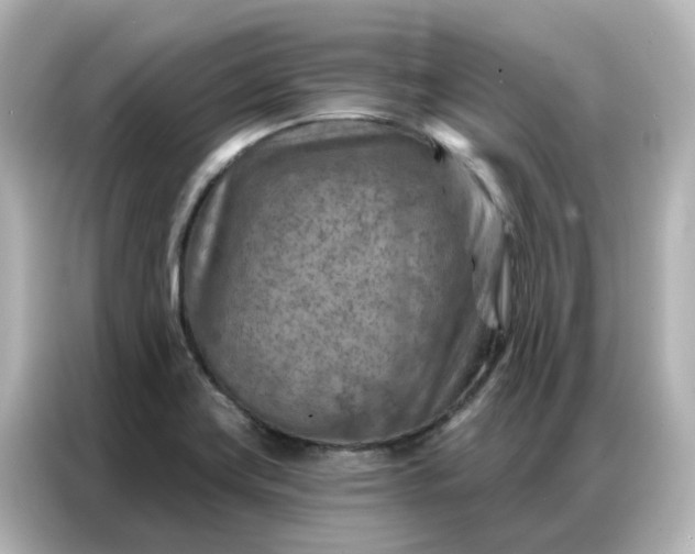 X0000087001419200704301348