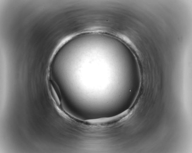 X0000087001421200704301348