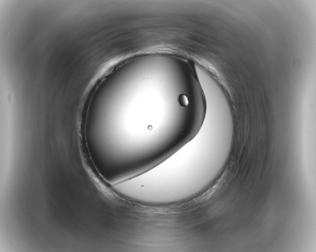 X0000087001422200704301348