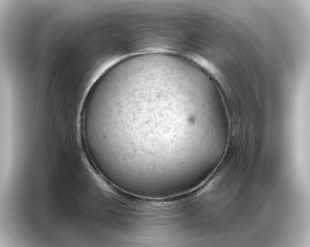 X0000087001423200704301348