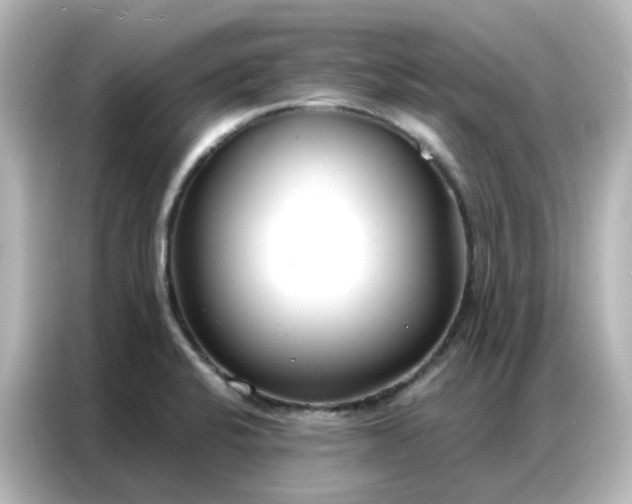 X0000087001424200704301348