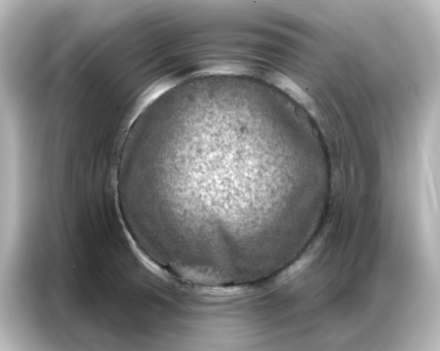 X0000087001425200704301348