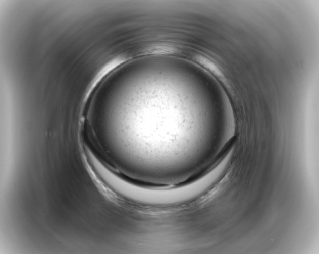 X0000087001426200704301348