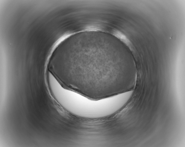 X0000087001427200704301348