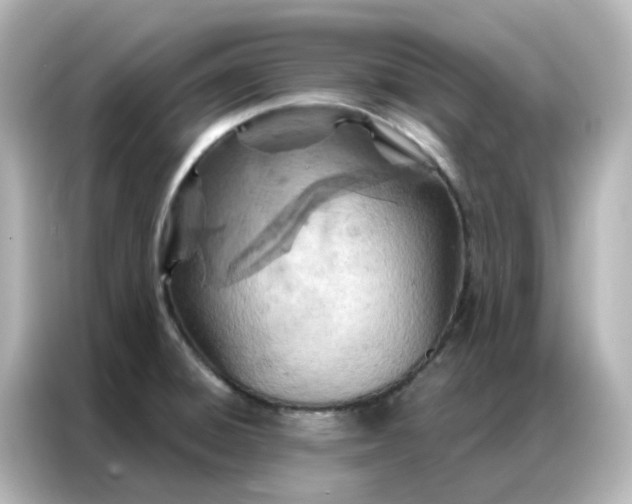 X0000087001428200704301348
