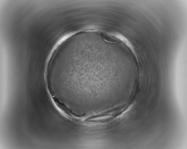 X0000087001429200704301348