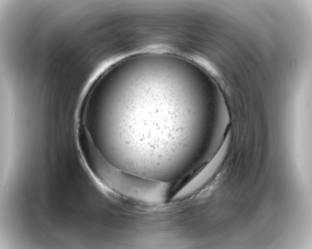 X0000087001430200704301349