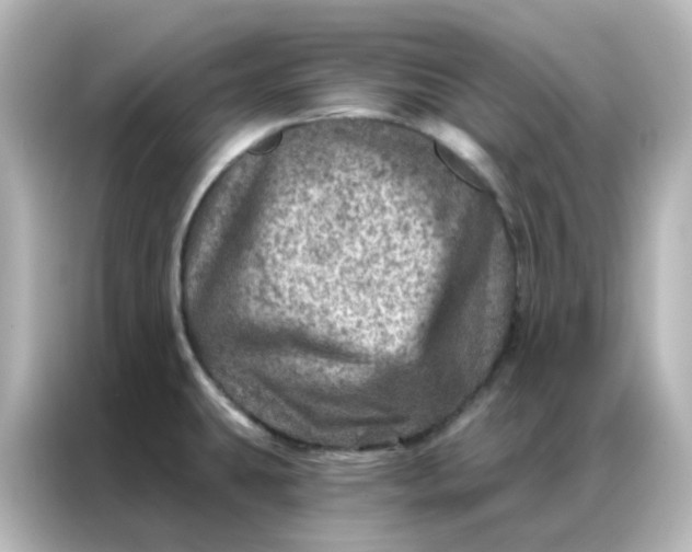 X0000087001431200704301349