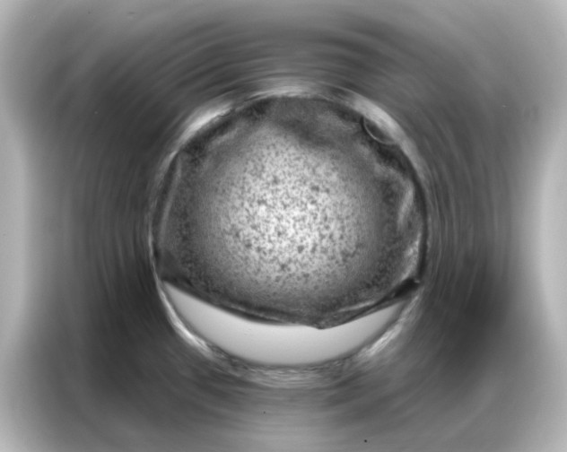 X0000087001433200704301349