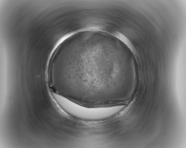 X0000087001436200704301349