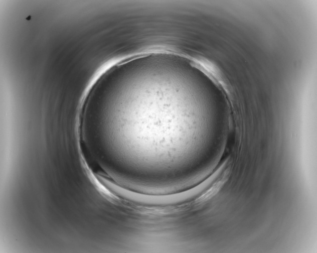 X0000087001438200704301349