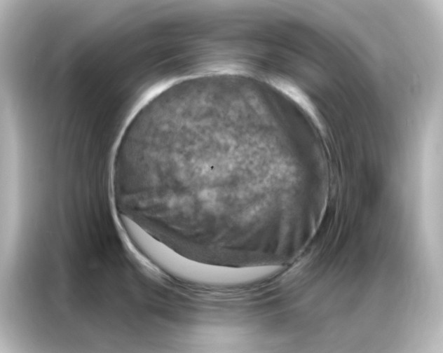 X0000087001439200704301349