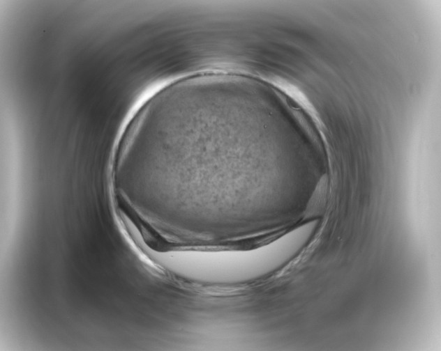 X0000087001440200704301349
