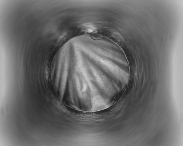 X0000087001442200704301348